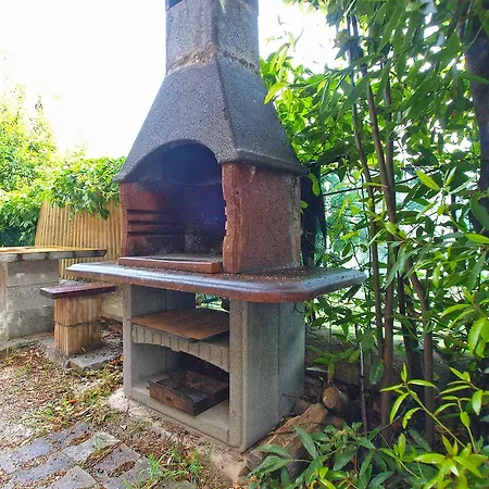 Daire Paulina 1347 *